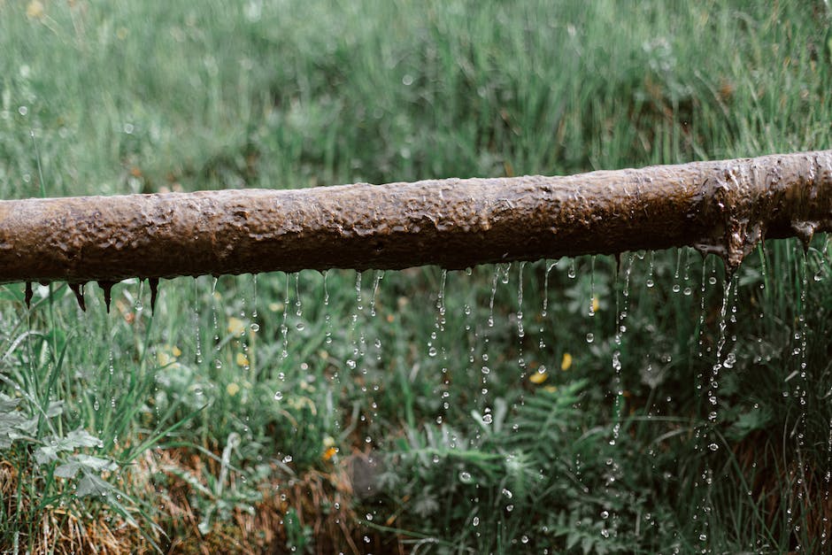 Understanding Drain and Sewer Line Problems