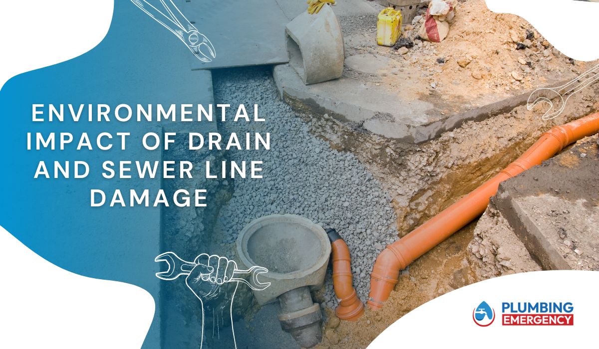 Environmental Impact Of Drain And Sewer Line Damage