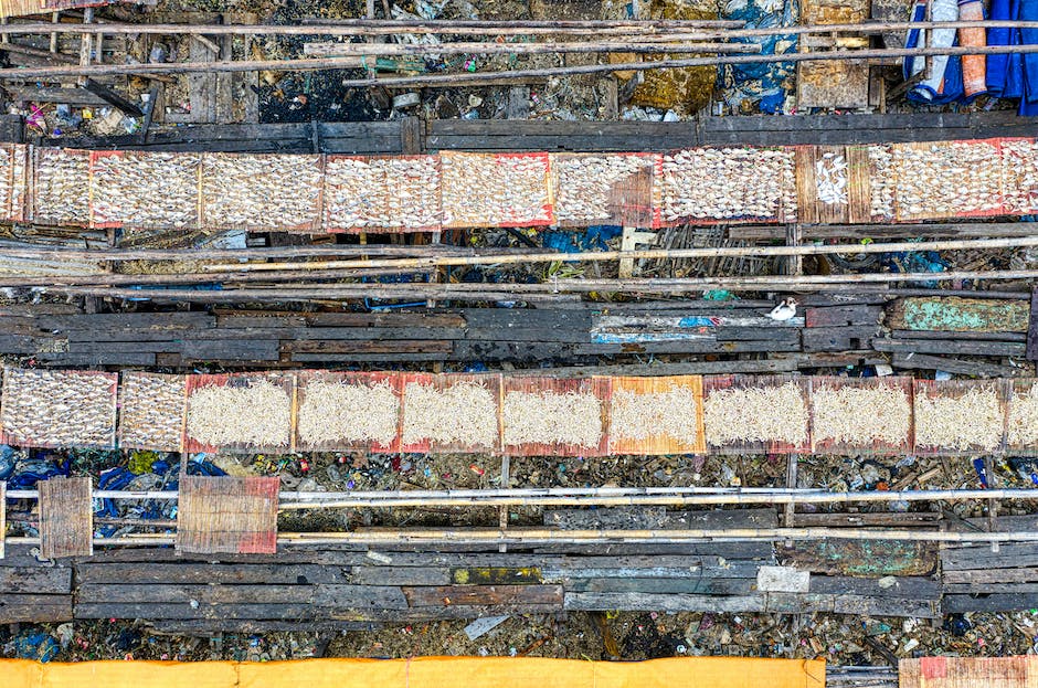 Impact Of Neglected Waterline Damage